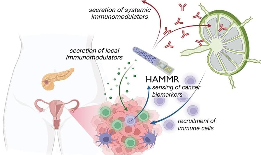 schematic of the implant technology