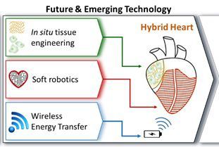 HybridHeart's work based on in situ tissue engineering, soft robotics and wireless energy transfer
