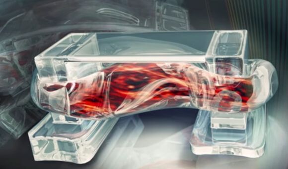 muscle-powered-3d-printed-bio-bots 1