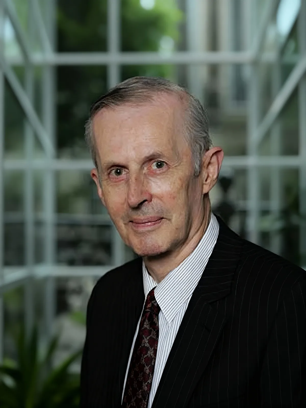 Professor A. Marshall Stoneham