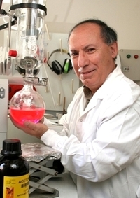 Professor Simon Benita